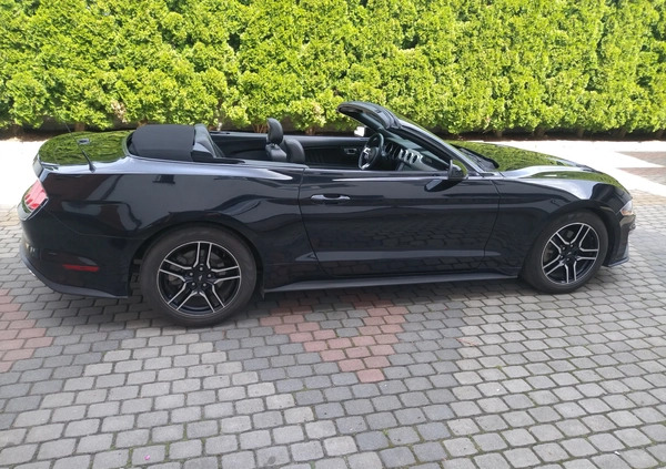 Ford Mustang cena 93000 przebieg: 100000, rok produkcji 2018 z Mogilno małe 326